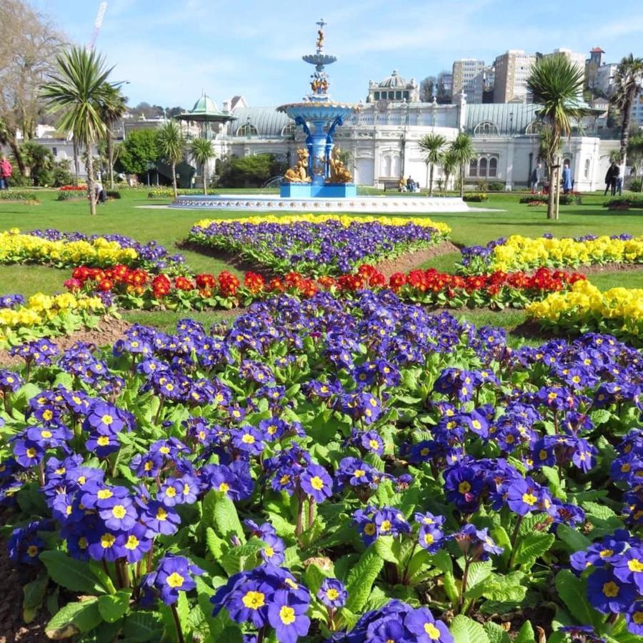 Crowndale Torquay - Exclusively For Adults Bed and Breakfast Εξωτερικό φωτογραφία