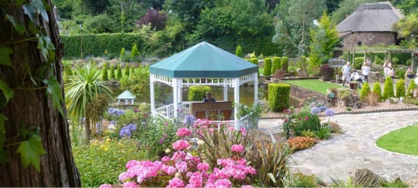 Crowndale Torquay - Exclusively For Adults Bed and Breakfast Εξωτερικό φωτογραφία