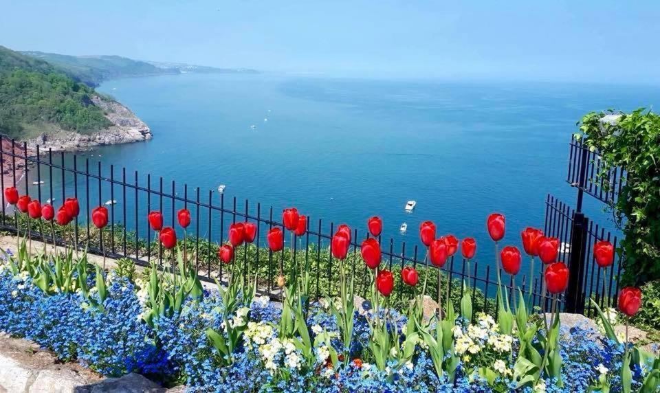 Crowndale Torquay - Exclusively For Adults Bed and Breakfast Εξωτερικό φωτογραφία
