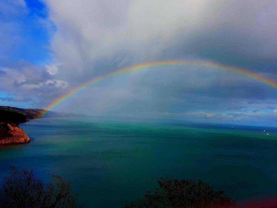 Crowndale Torquay - Exclusively For Adults Bed and Breakfast Εξωτερικό φωτογραφία