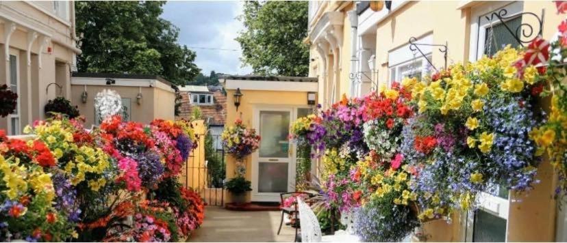 Crowndale Torquay - Exclusively For Adults Bed and Breakfast Εξωτερικό φωτογραφία